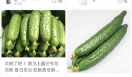 黄瓜c 独家爆料官网,官网爆料背后的惊人真相