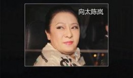 明星排行榜 爆炸瓜视频,爆炸瓜视频揭秘幕后真相